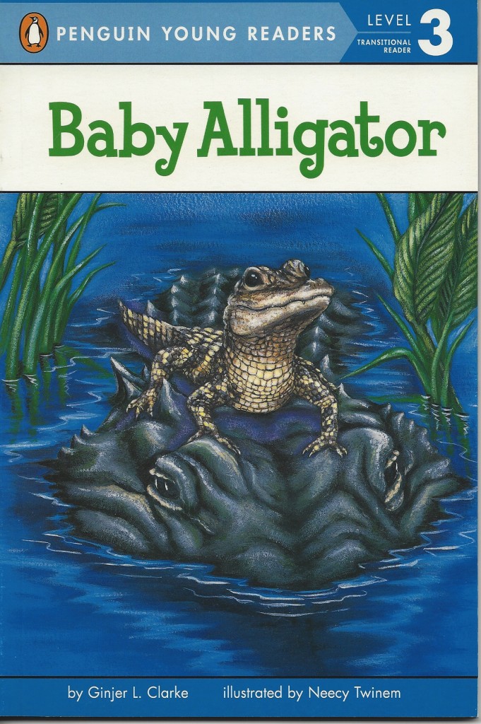 BabyAlligator2