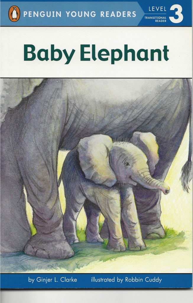 BabyElephant2