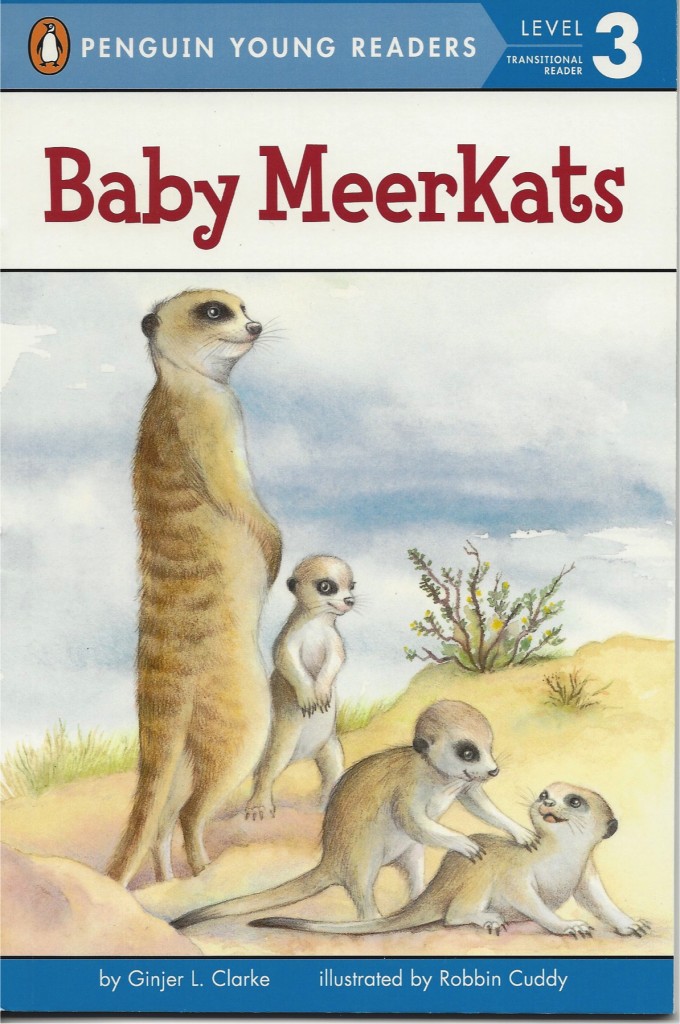 BabyMeerkats2