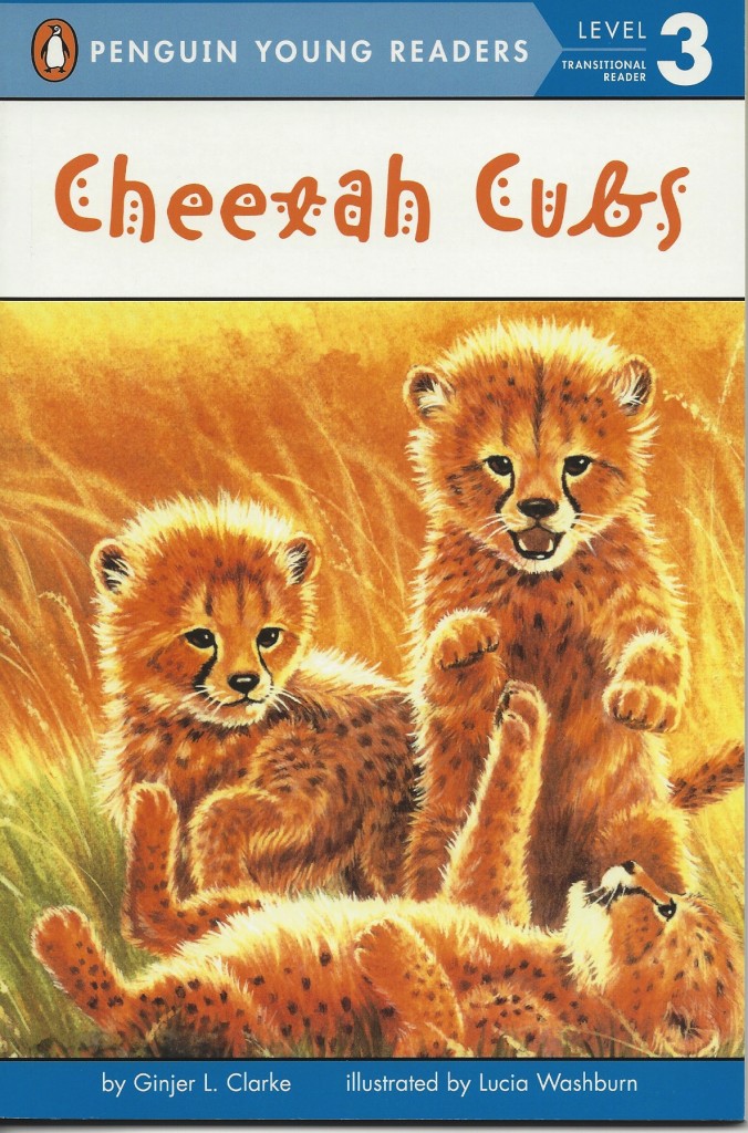 CheetahCubs2