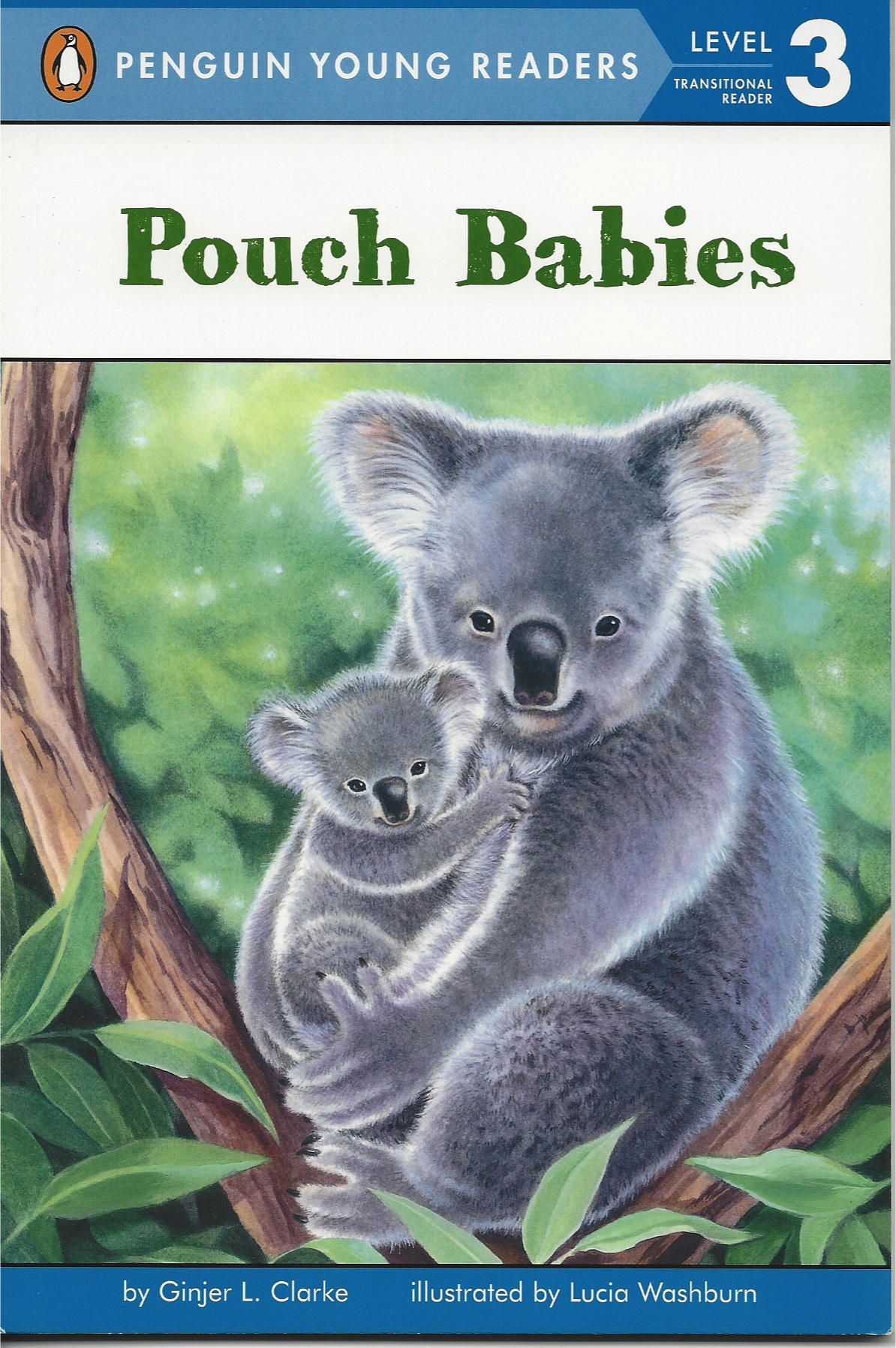 Pouch Babies