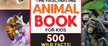 Published Books