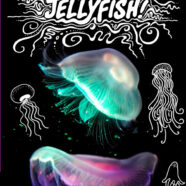 Jellyfish!