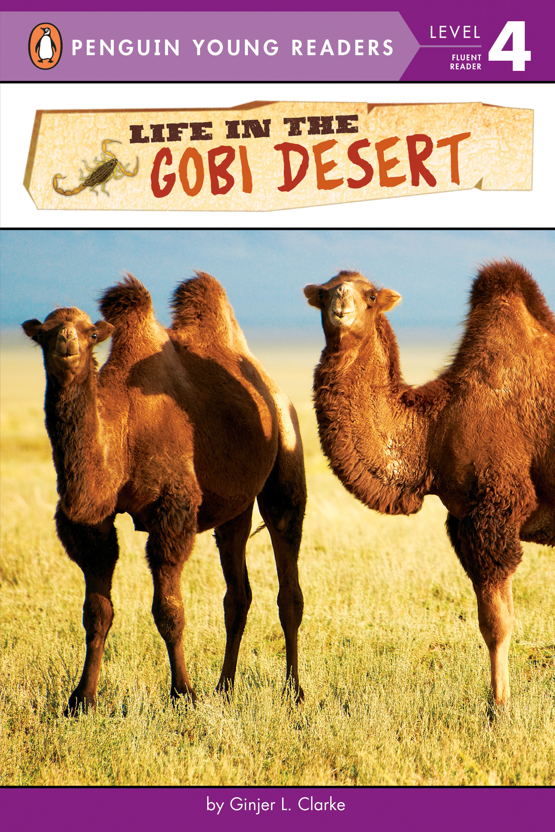 Life in the Gobi Desert