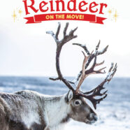 Reindeer: On the Move