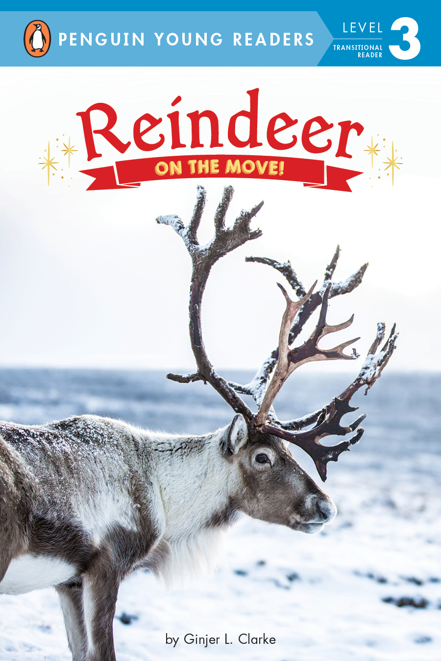 Reindeer: On the Move