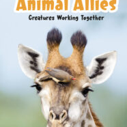 Animal Allies