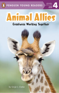 Animal Allies