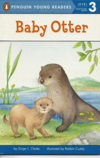 Baby Otter