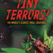 Tiny Terrors!