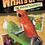 What’s Up in the Amazon Rainforest?