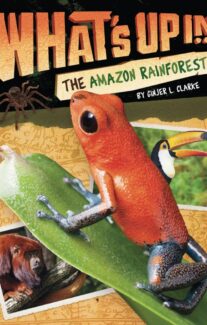 What’s Up in the Amazon Rainforest?