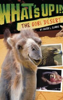 What’s Up in the Gobi Desert?